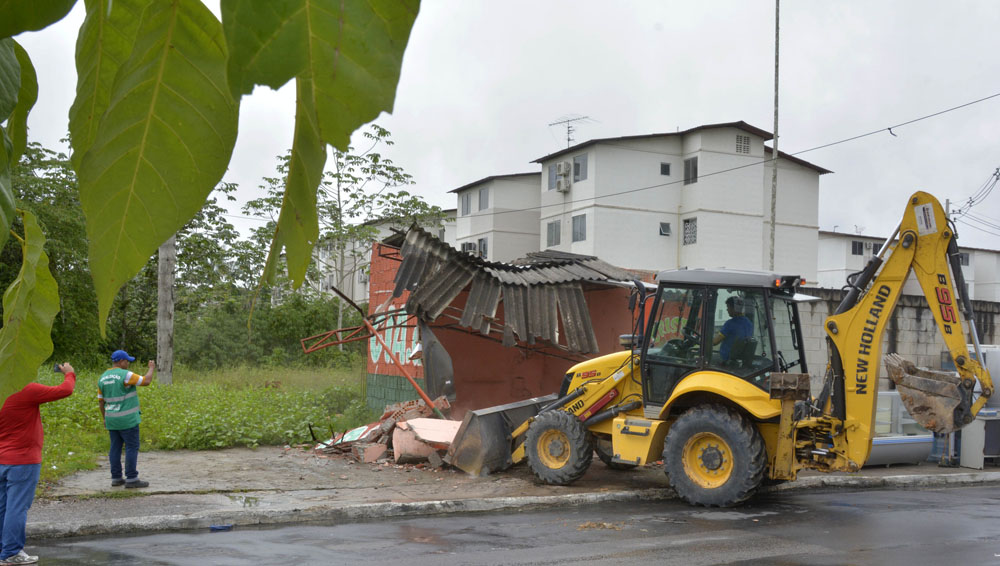 Demolição de invasão área verde no Santa Etelvina