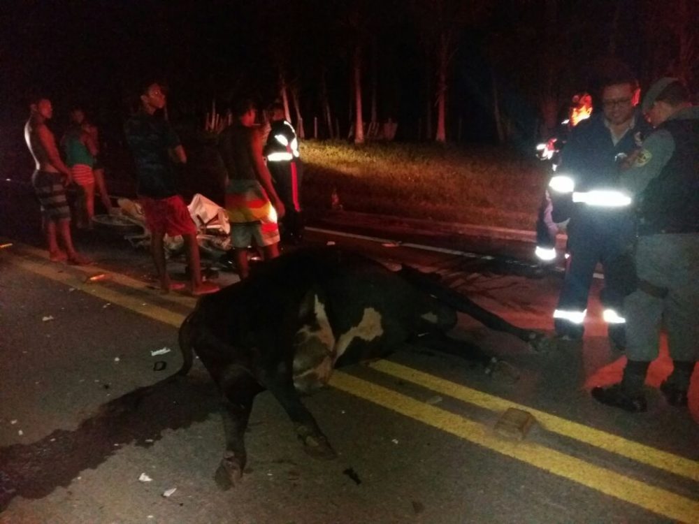 O condutor do veículo e o animal morreram na hora, em acidente na BR-174 O condutor do veículo e o animal morreram na hora, em acidente na BR-174
