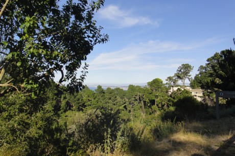 Ao longe, a Monterey Bay