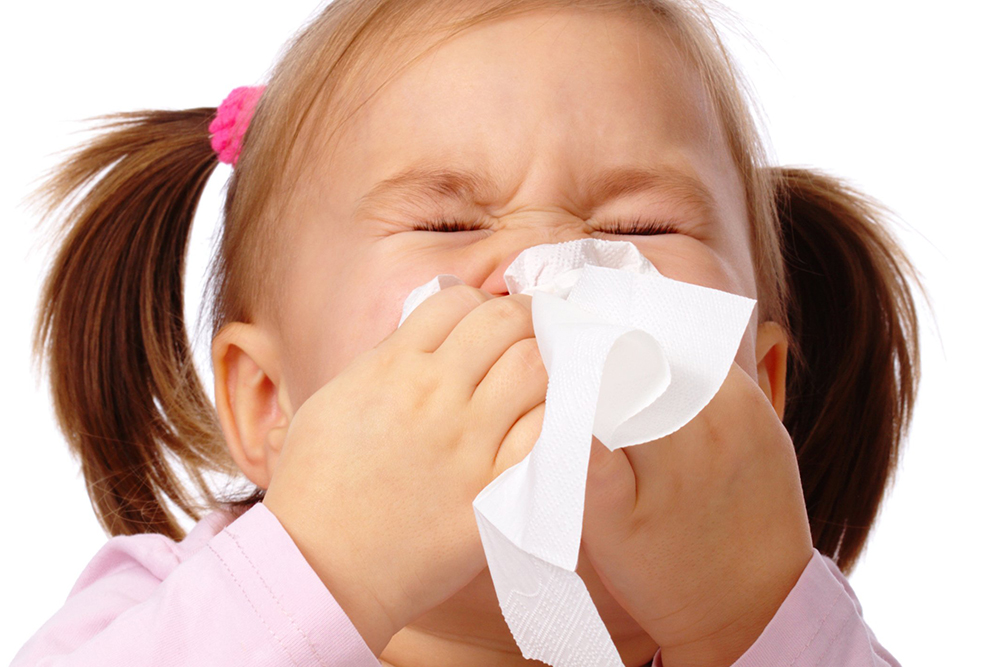 Gripe saiba como prevenir e evitar a transmissão do vírus Portal do Gripe saiba como prevenir e evitar a transmissão do vírus Portal do