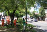 Dois terços dos brasileiros moram em ruas arborizadas