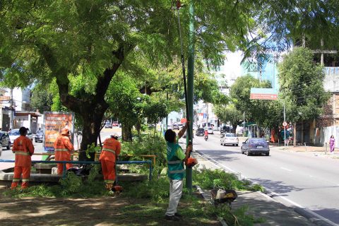 Dois terços dos brasileiros moram em ruas arborizadas