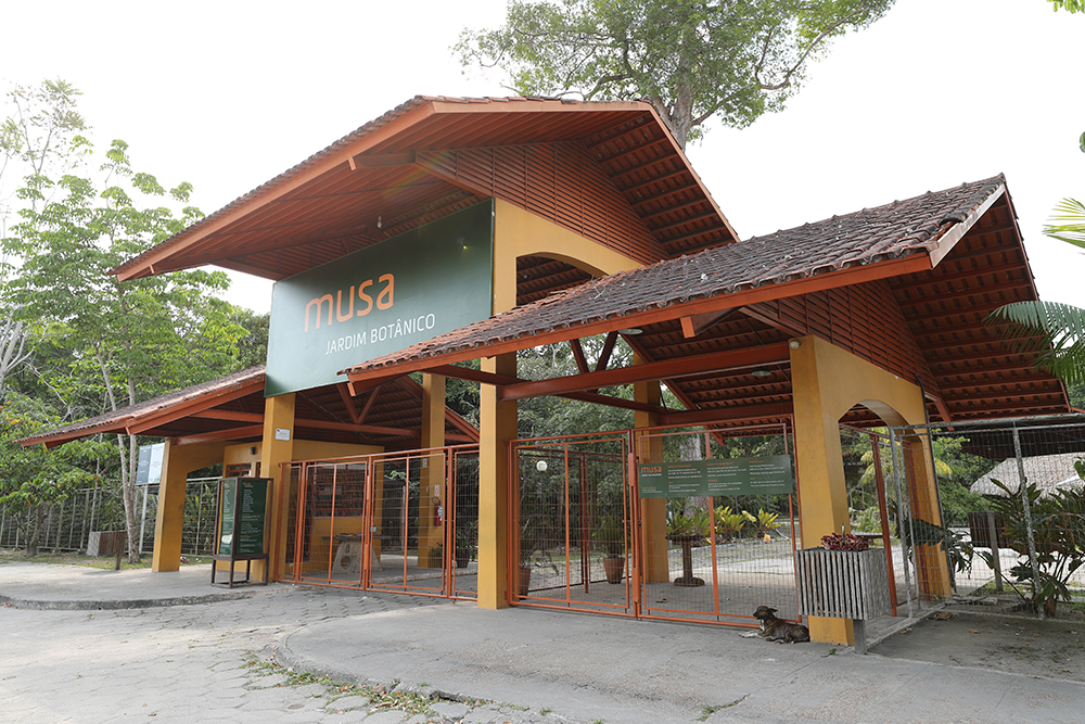 Museu da Amazônia faz campanha para pagar colaboradores Museu da Amazônia faz campanha para pagar colaboradores