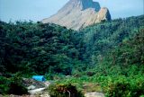 Pico da Neblina