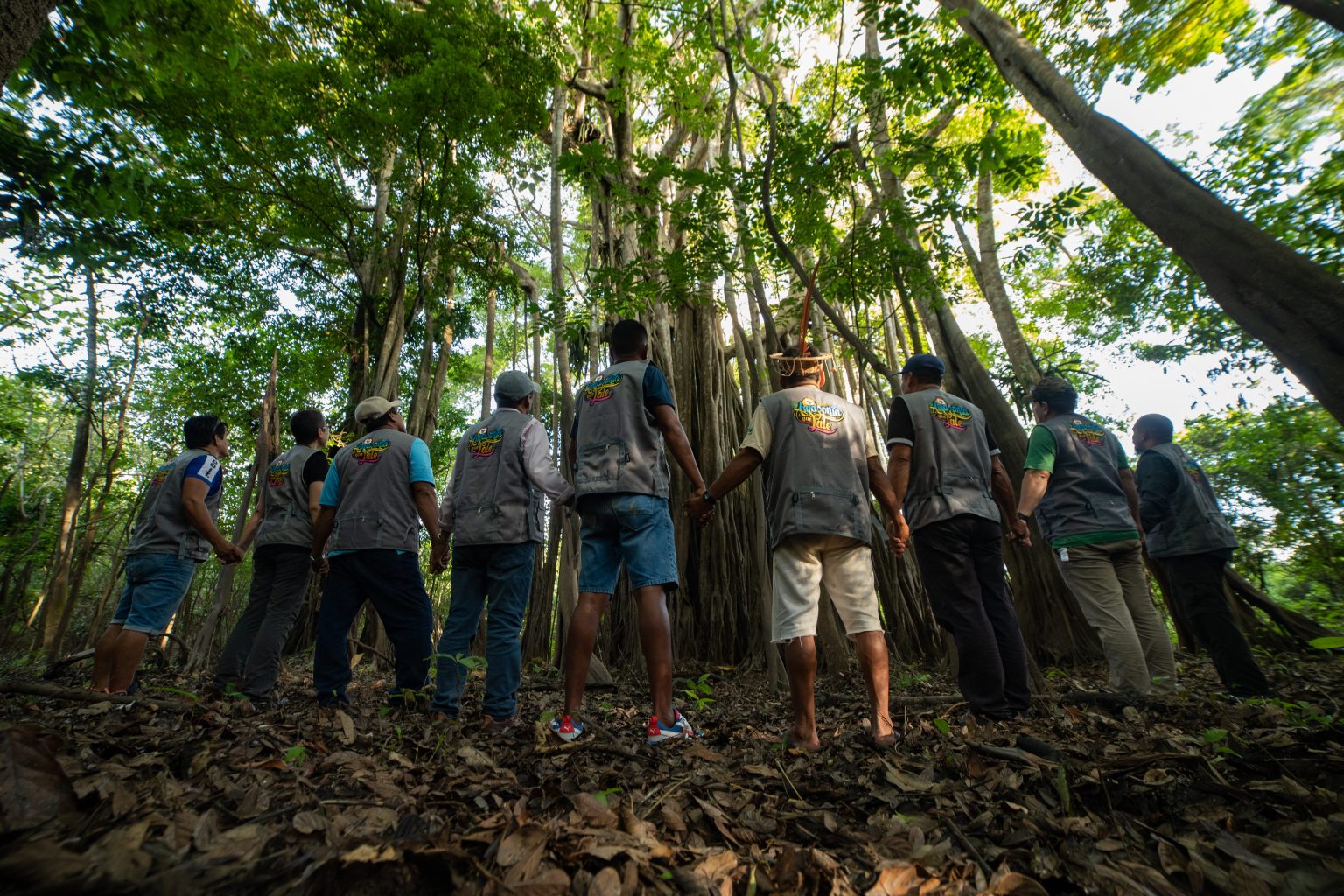 Rede ligada &agrave; ONU realiza debates abertos em prepara&ccedil;&atilde;o para a C&uacute;pula da Amaz&ocirc;nia