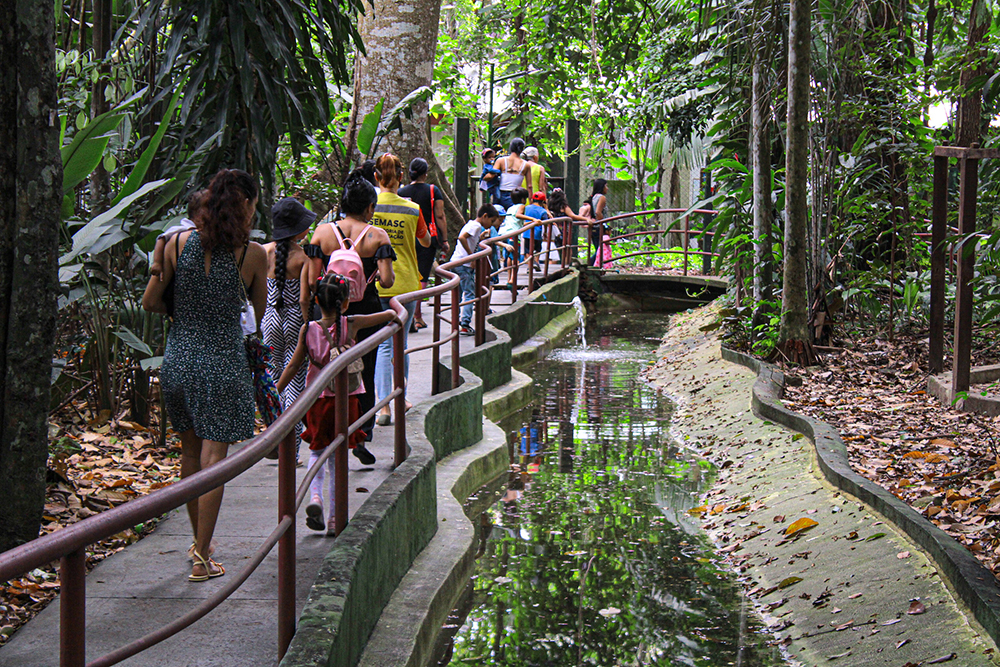 Bosque da Ci&ecirc;ncia est&aacute; fechado para visita&ccedil;&atilde;o at&eacute; 1&ordm; de janeiro