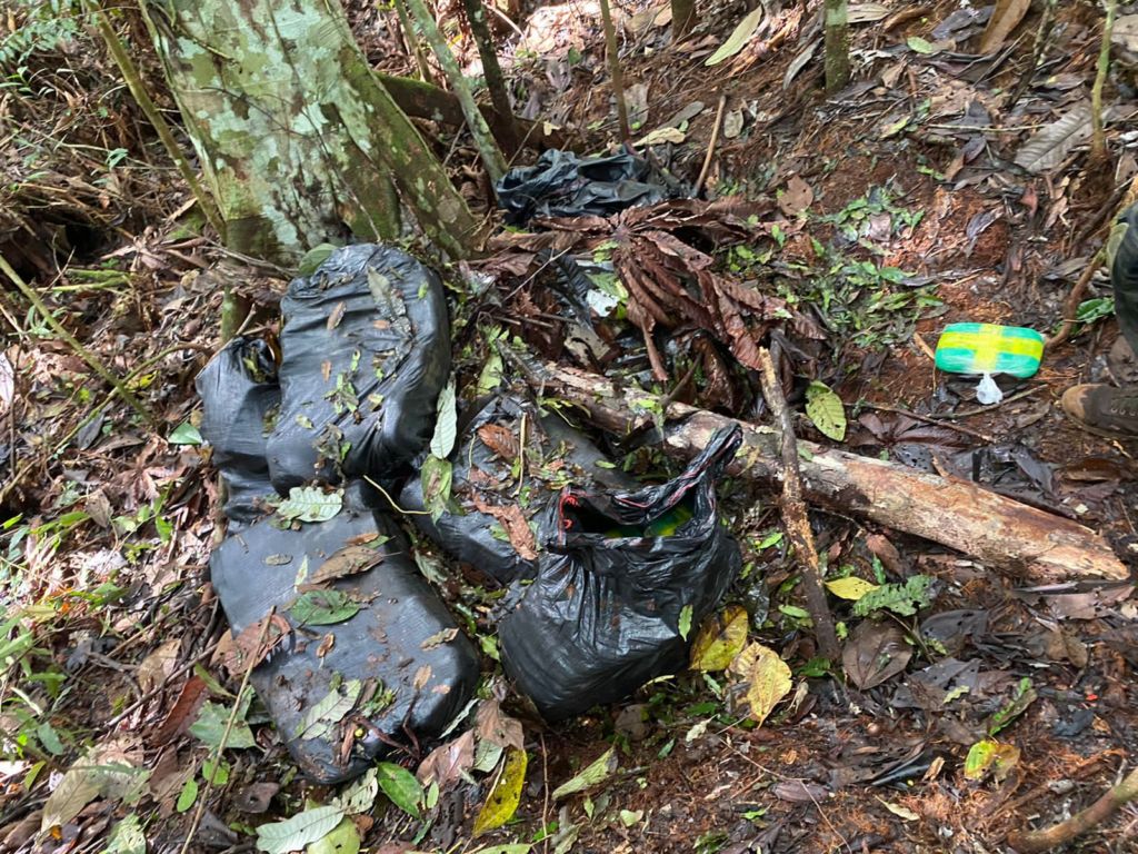 Opera&ccedil;&atilde;o apreende 480kg de drogas em pista clandestina no Amazonas