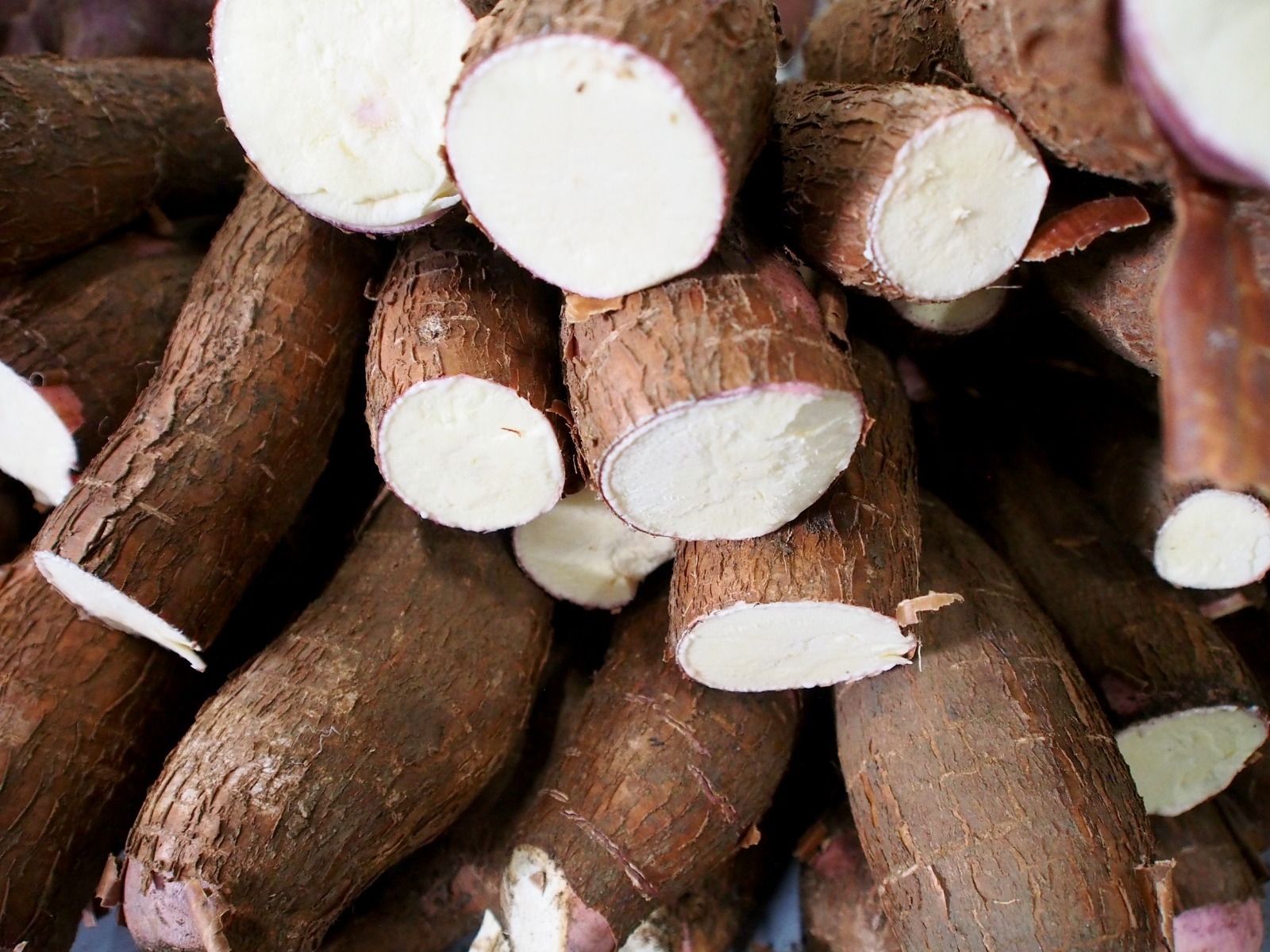 Balc&atilde;o de Agroneg&oacute;cios escoou mais de 115 toneladas de alimentos em abril