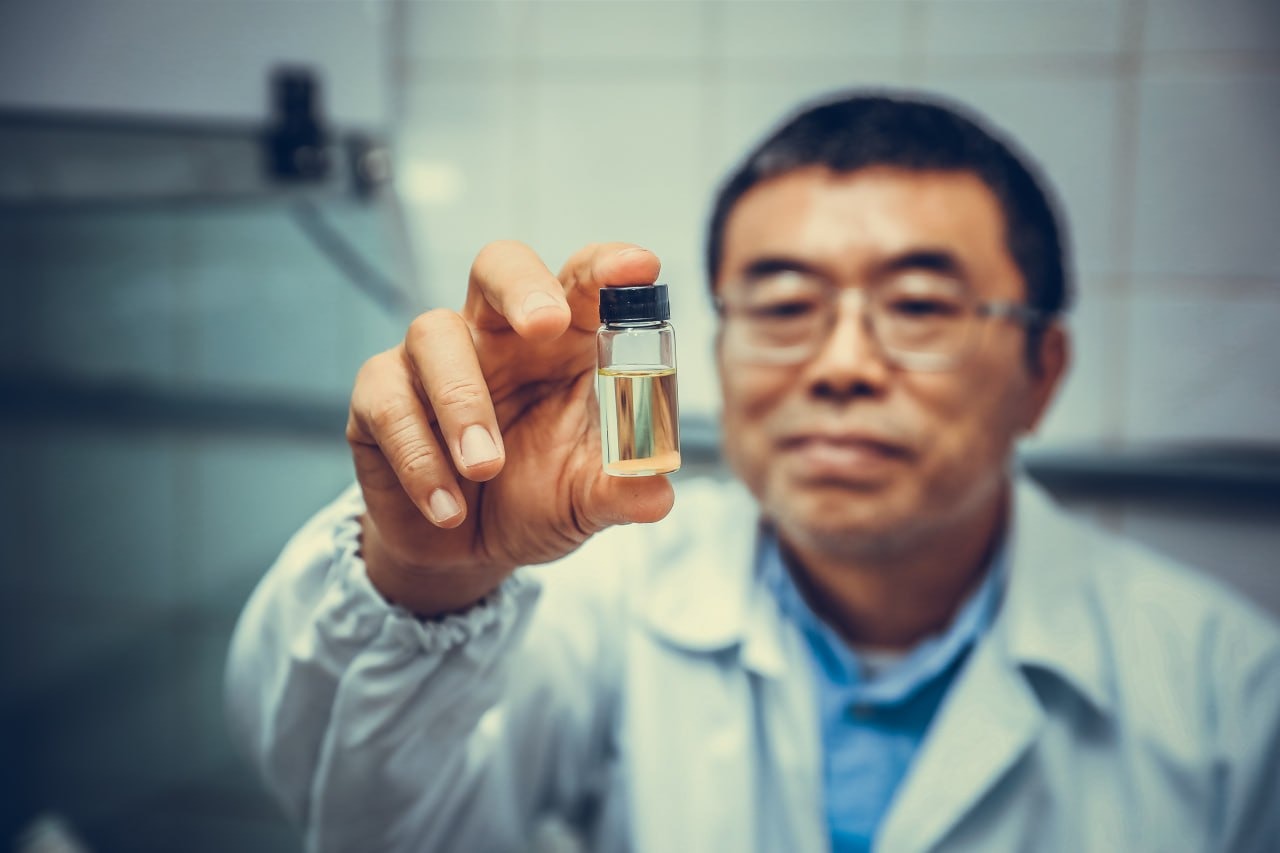 Óleos essenciais de plantas medicinais podem controlar doenças em vegetais, diz pesquisa Óleos essenciais de plantas medicinais podem controlar doenças em vegetais, diz pesquisa