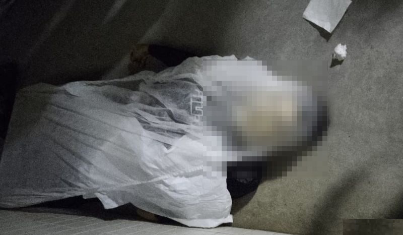 Assassino confesso de 'Barbie do Tráfico' é morto a tiros durante evento de jiu-jitsu Assassino confesso de 'Barbie do Tráfico' é morto a tiros durante evento de jiu-jitsu