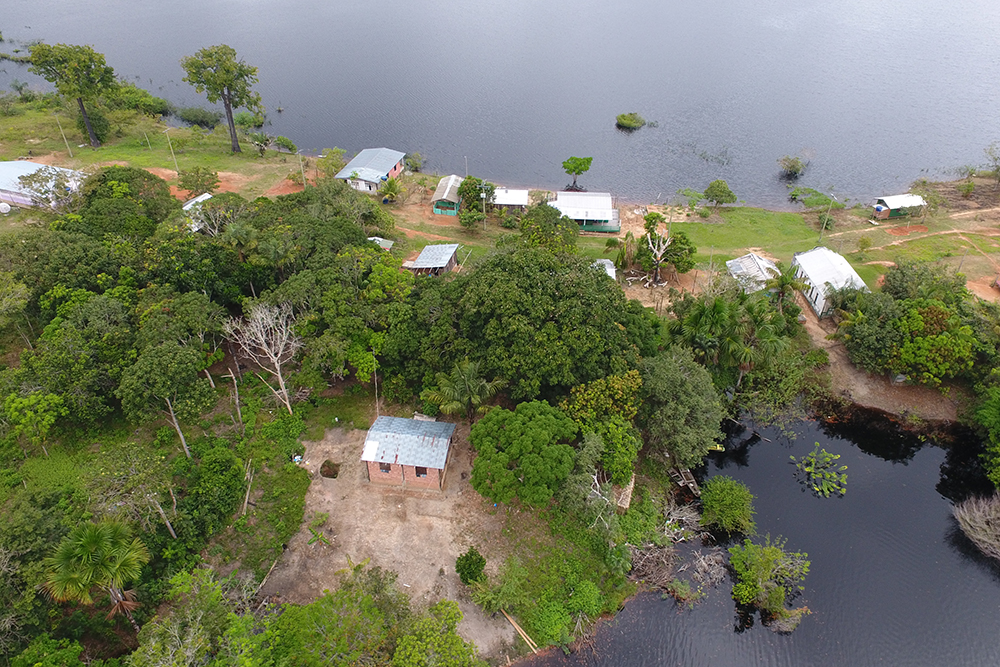 Dia Mundial do Meio Ambiente Programação com atividades gratuitas será