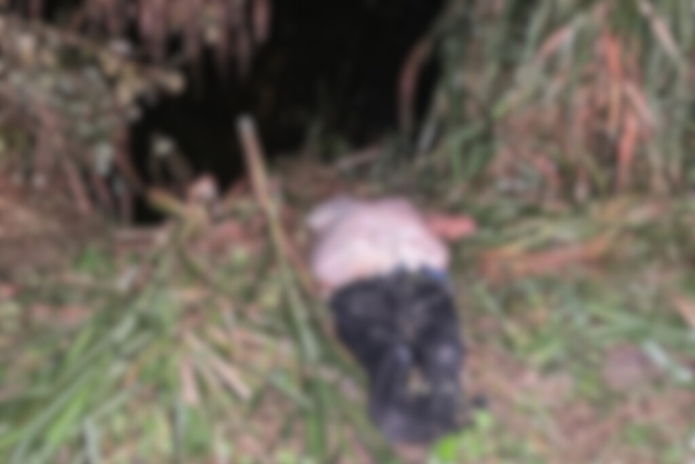 Corpo com sinais de tortura &eacute; encontrado em barranco na AM-010