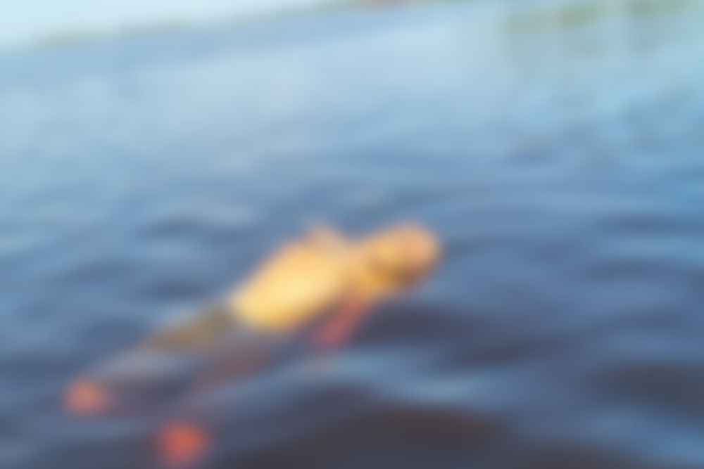 Corpo de homem desaparecido é encontrado boiando no lago do Aleixo Corpo de homem desaparecido é encontrado boiando no lago do Aleixo