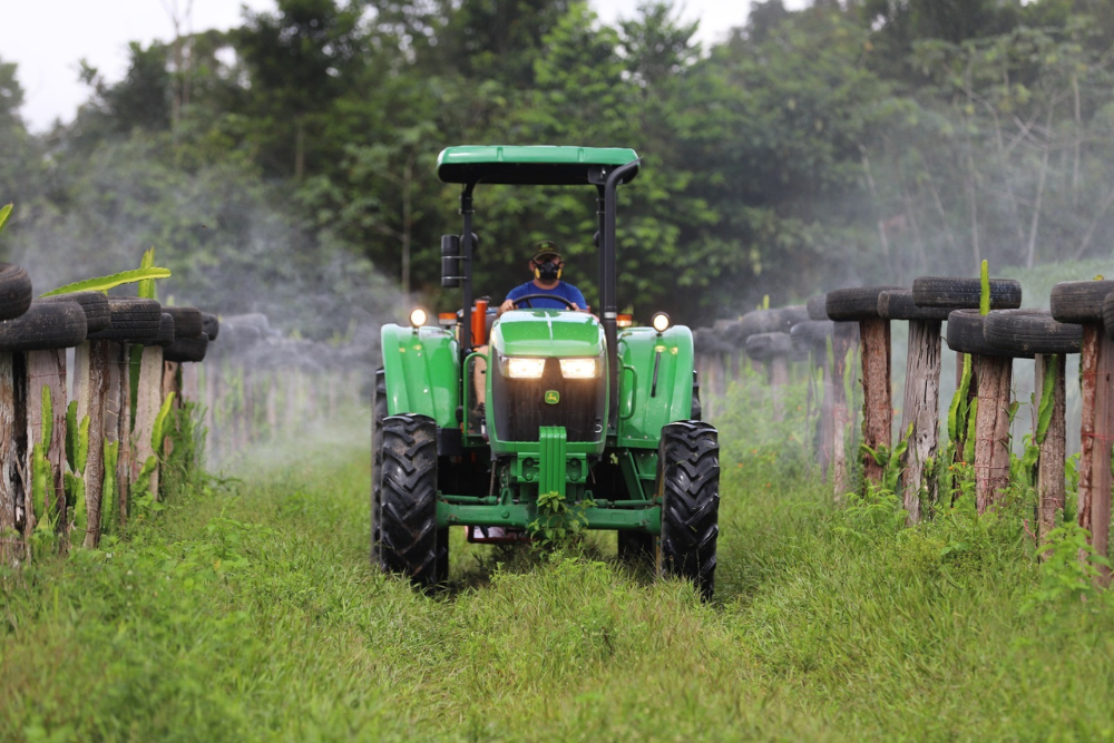 Novas tecnologias podem ser acessadas por meio do crédito rural no Amazonas Novas tecnologias podem ser acessadas por meio do crédito rural no Amazonas