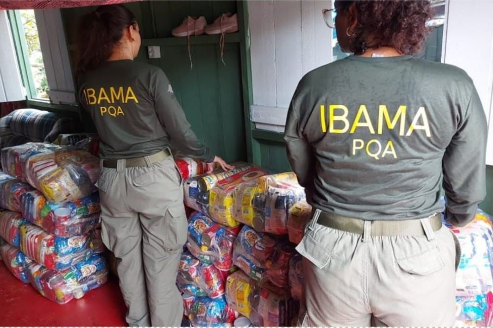 Ibama entrega insumos a comunidades que manejam quel&ocirc;nios no Amazonas