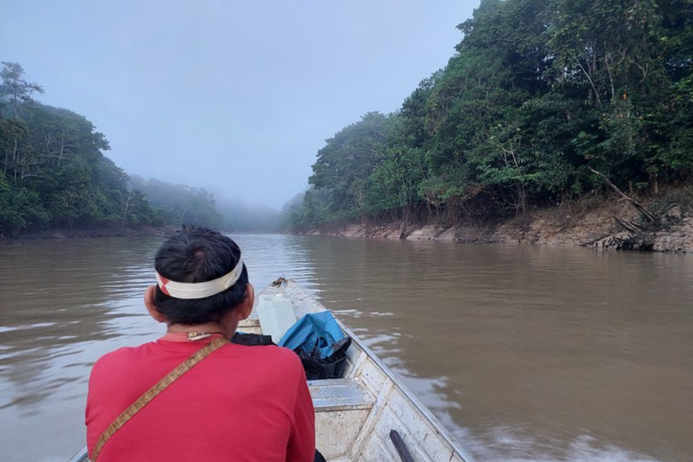Ibama e povos ind&iacute;genas articulam manejo participativo do pirarucu no Amazonas