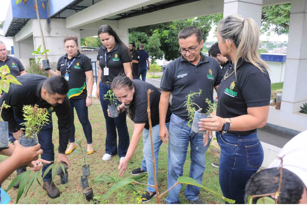 SSP-AM planta 50 mudas de árvores para celebrar o Dia do Meio Ambiente SSP-AM planta 50 mudas de árvores para celebrar o Dia do Meio Ambiente