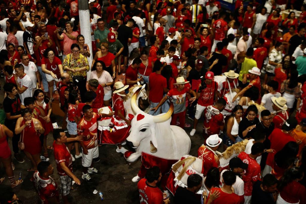 Em Parintins, multid&atilde;o celebra tradi&ccedil;&atilde;o do Garantido em homenagem aos namorados