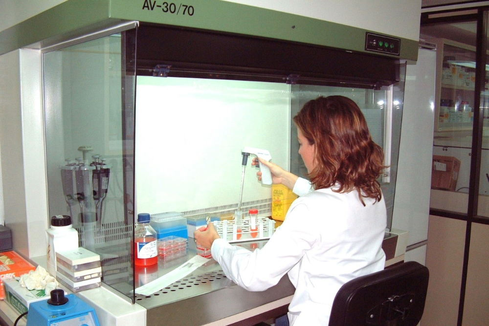 Ufam abre 20 vagas para mestrado em Imunologia Básica e Aplicada Ufam abre 20 vagas para mestrado em Imunologia Básica e Aplicada