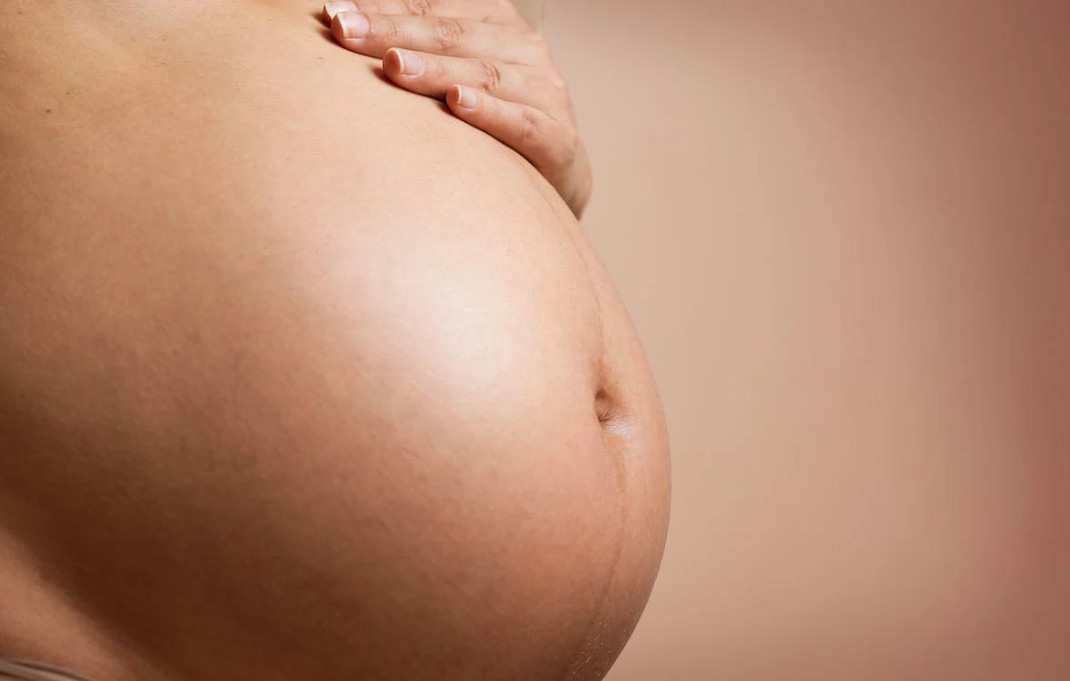 Butantan desenvolve anticorpo monoclonal contra Zika com foco na proteção de gestantes Butantan desenvolve anticorpo monoclonal contra Zika com foco na proteção de gestantes