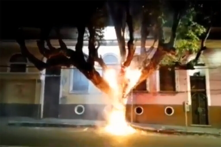 Árvore pega fogo na rua Ferreira Pena; moradores iniciaram combate às