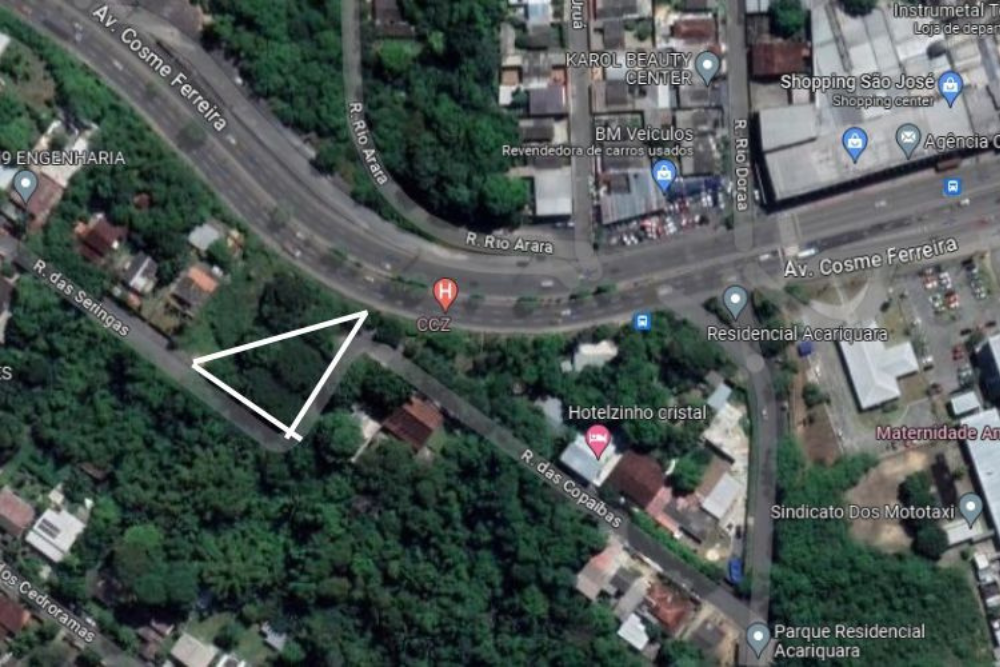 Prefeito veta projeto que reduz &aacute;rea de preserva&ccedil;&atilde;o da Floresta Mana&oacute;s