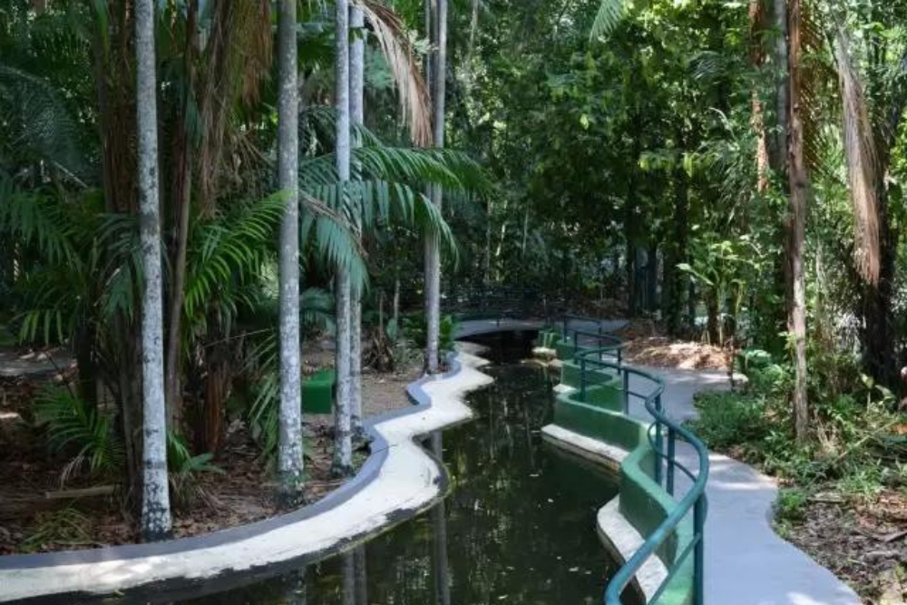 Bosque da Ciência tem programação especial gratuita neste domingo (23) Bosque da Ciência tem programação especial gratuita neste domingo (23)