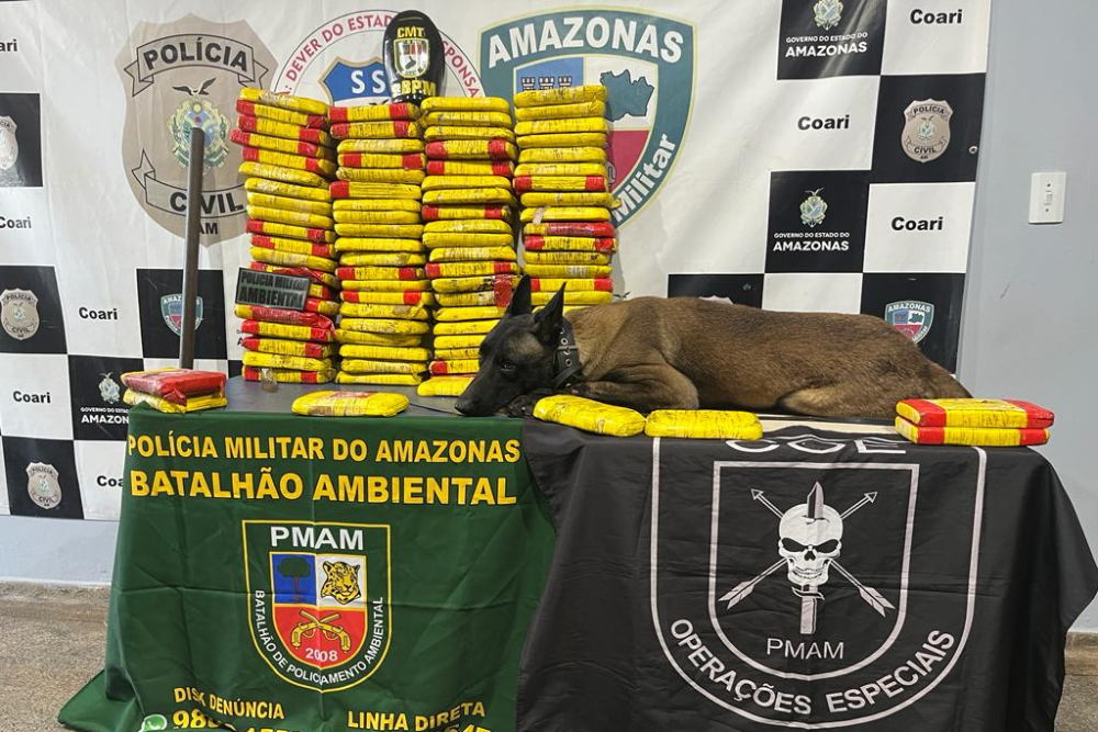 Vereador de Coari &eacute; preso com mais de 95kg de drogas escondidas em s&iacute;tio