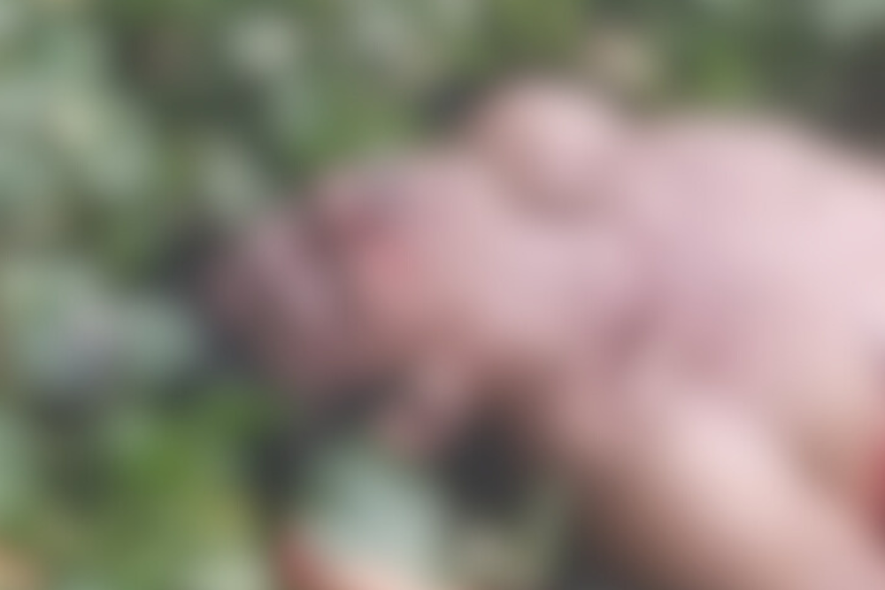 Corpo é encontrado com mãos e pés amarrados em igarapé do bairro Glória Corpo é encontrado com mãos e pés amarrados em igarapé do bairro Glória