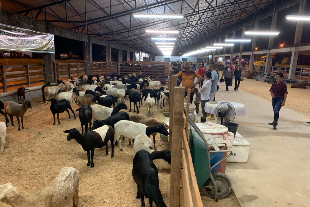 Cursos e palestras para o setor prim&aacute;rio integram programa&ccedil;&atilde;o da Feira de Agroneg&oacute;cios