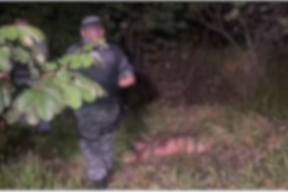 Tiroteio deixa um morto e outro baleado em &aacute;rea de mata na zona Norte