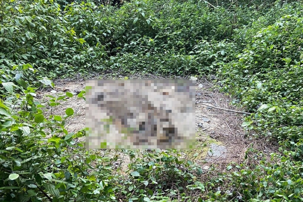 Den&uacute;ncia an&ocirc;nima leva a encontro de ossada humana na zona Leste