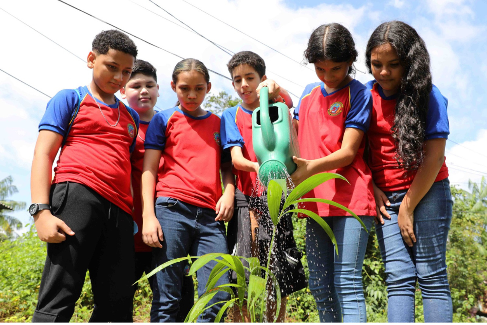 Escolas do AM com projetos de sustentabilidade podem se inscrever em prêmio internacional Escolas do AM com projetos de sustentabilidade podem se inscrever em prêmio internacional