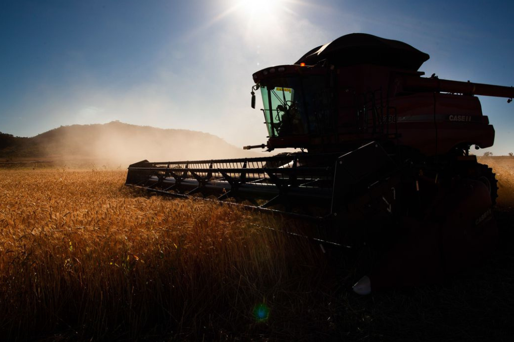 Governo faz ajustes em programas de concessão de crédito rural Governo faz ajustes em programas de concessão de crédito rural