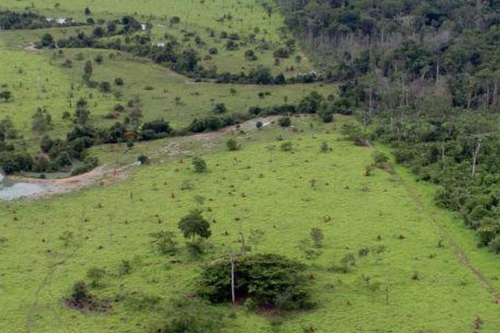 Aberto o prazo para entrega da Declaração do Imposto Territorial Rural Aberto o prazo para entrega da Declaração do Imposto Territorial Rural