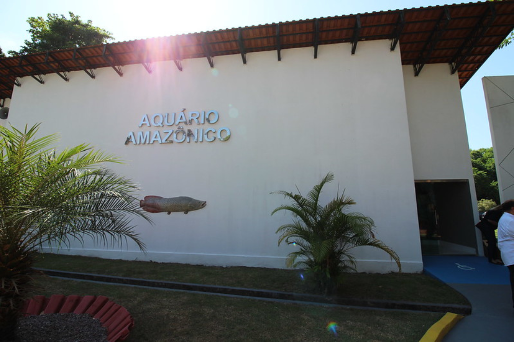 Aquário do Zoológico do Cigs é reformado com ajuda de multas trabalhistas Aquário do Zoológico do Cigs é reformado com ajuda de multas trabalhistas