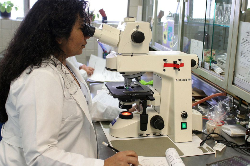 Programa Futuras Cientistas tem 470 vagas para alunas e professoras Programa Futuras Cientistas tem 470 vagas para alunas e professoras
