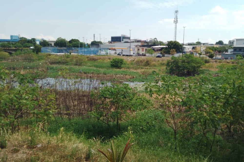 Corpo é encontrado em igarapé no Santa Luzia Corpo é encontrado em igarapé no Santa Luzia