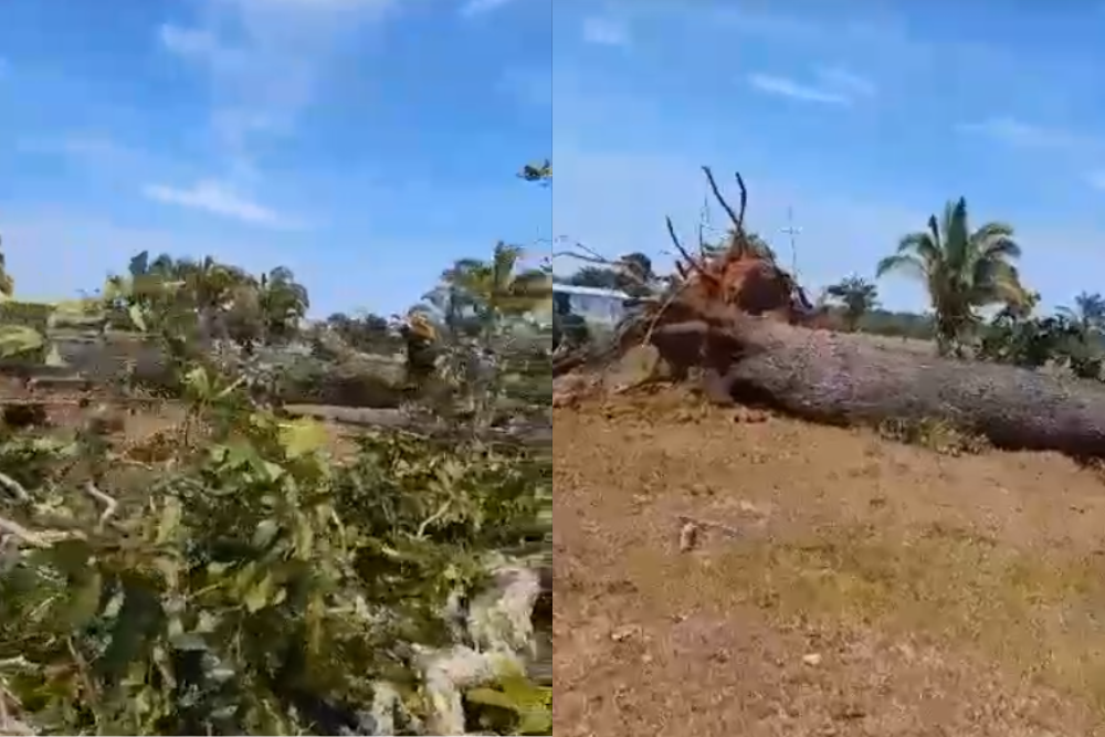 Vídeo mostra estrago feito por fortes ventos, durante tempestade, no Mamori Vídeo mostra estrago feito por fortes ventos, durante tempestade, no Mamori