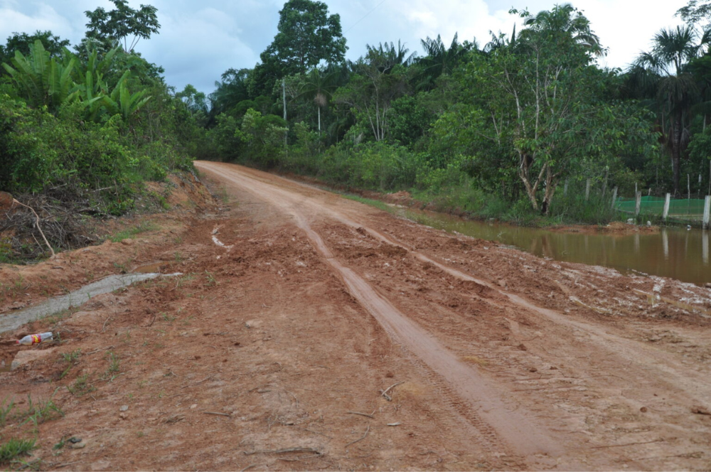 Rede de ramais da BR-319 é quase seis vezes maior que a própria rodovia, diz estudo Rede de ramais da BR-319 é quase seis vezes maior que a própria rodovia, diz estudo